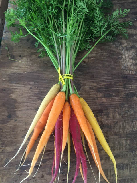 Rainbow Carrots bunch organic rainbow carrots