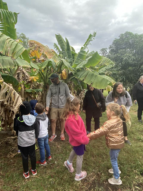 farm days 2 farm days at Blumenberry Farms