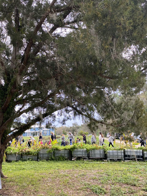 farm tours at Blumenberry Farms