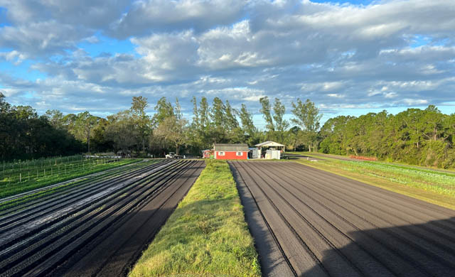 farm fields at Blumenberry Farms Blumenberry Farms Sarasota