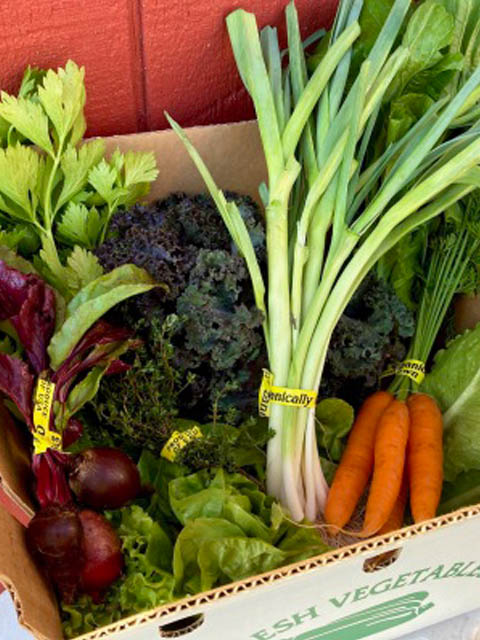 farm veggie box large Farm Veggie Box - Premium Organic Produce