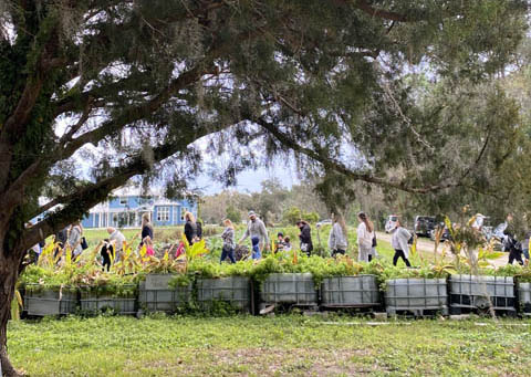 Blumenberry Farms, Llc photo